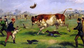 Image result for St Ives Cricket Club