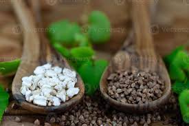 Attēlu rezultāti vaicājumam “Fagopyrum esculentum fruit”