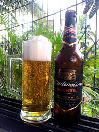 Image result for budweiser