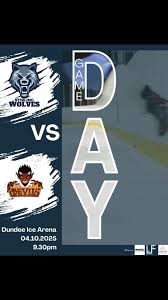 Image result for Stirling Wolves