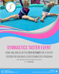 Image result for Gatwick Flyers Trampoline Club