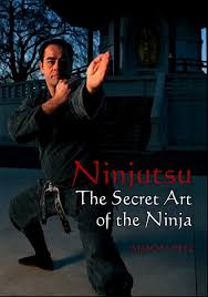 Image result for Bujinkan Truro Dojo