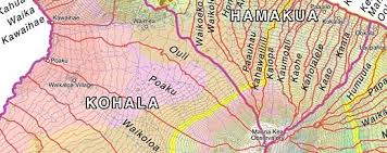 「VHAPUNI　MAO」の画像検索結果