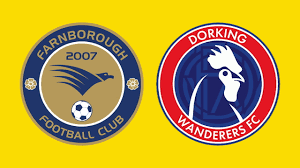 Image result for Dorking Wanderers F C