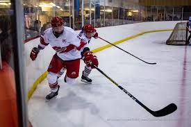 Image result for Streatham Night Wolves Ice Hockey Team