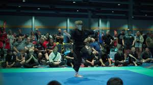 Image result for Championship Martial Arts Winter Springs