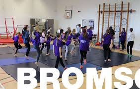 Image result for Bromsgrove Badminton Club