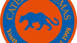 Image result for Beecholme Belles Banstead FC