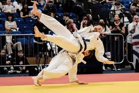 Image result for British Jiu-Jitsu School