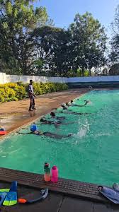 Image result for Gosport Dolphins Swimming Club