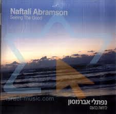 Seeing the Good by Naftali Abramson - 88880981