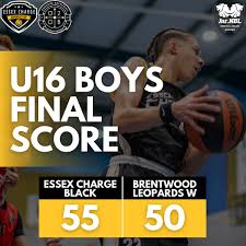 Image result for Essex Leopards