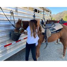 Image result for Carman Stables Archery