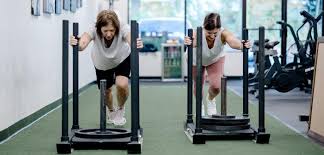 Image result for Hidden Dragon Karate-Do