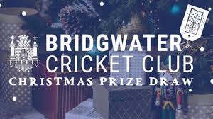 Image result for Bridgwater Cricket Club