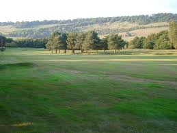 Image result for Betchworth Park Golf Club