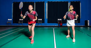 Image result for Axminster Badminton Club