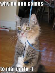 Image result for lulcatz