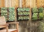 Outdoor Living Wall Planters - The Green Head