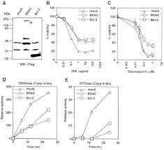 Image result for Ware Bsac
