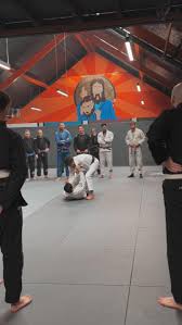 Image result for Farnham Kung Fu Club