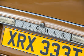 Image result for Turmeric Yellow 1979 Jaguar