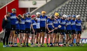 Image result for Sarsfields Hurling Club