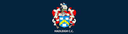 Image result for Hadleigh Cricket Club