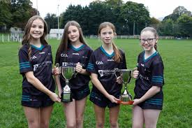 Image result for Rostrevor Hurling Club