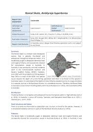 Image result for Amblyraja hyperborea