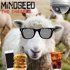 Image result for sheeple