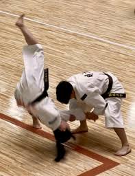 Image result for Durham University Shorinji Kempo Society Club
