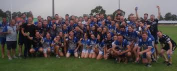 Image result for Wolfe Tones Gaelic Athletic Club