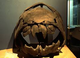 Attēlu rezultāti vaicājumam “Placodermi”