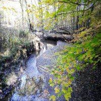 Image result for Thorn Park L T C