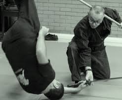 Image result for Bujinkan Ninpo Dojo