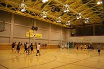Image result for Skillcentre Badminton Club