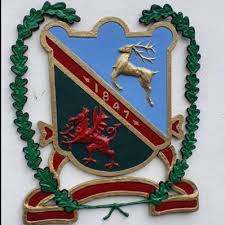 Image result for Ynysygerwn Cricket Club