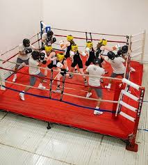 Image result for York University Boxing Club