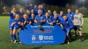Image result for Braunton Football Club