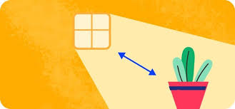 Image result for Alonsoa linearis