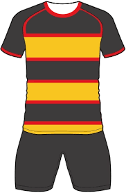 Image result for Chard Rugby Football Club