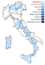 Attēlu rezultāti vaicājumam “Sclerophora pallida”