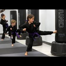 Image result for TRINITY KARATE ACADEMY