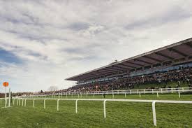 Image result for Sandown Sports Club