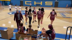 Image result for Elmbridge Girls Basketball Club