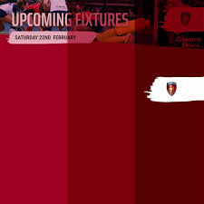 Image result for Trojans Squash Club