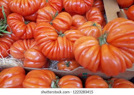 Afbeeldingsresultaat voor costoluto genovese tomato