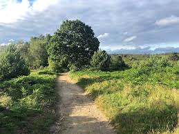 Image result for The Chobham Common Riders Association