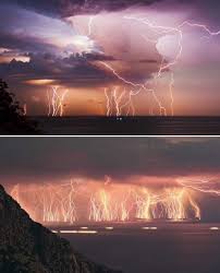 「ウィナ・ライトニング」の画像検索結果